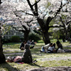 Hanami people