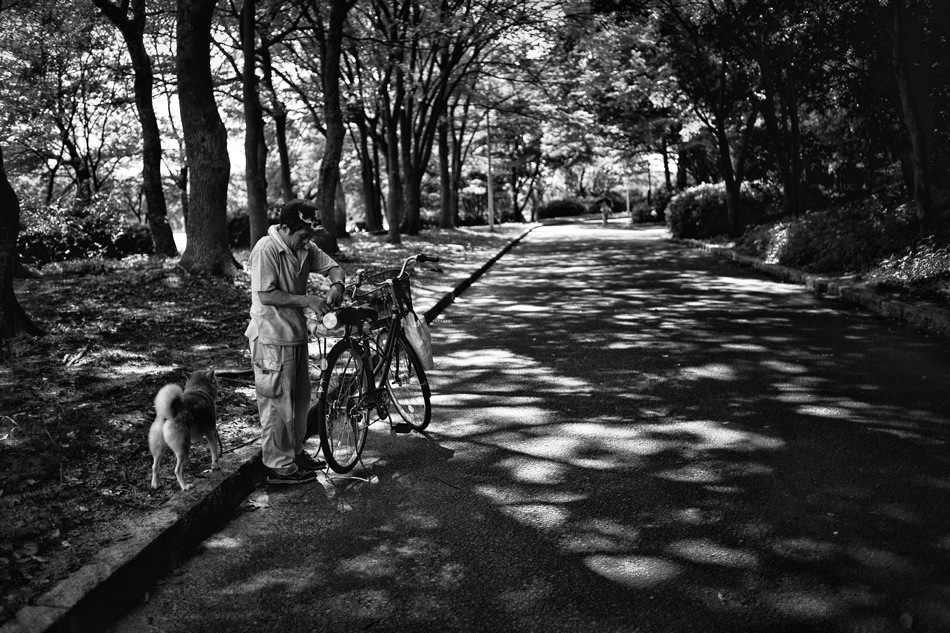 Go for a walk