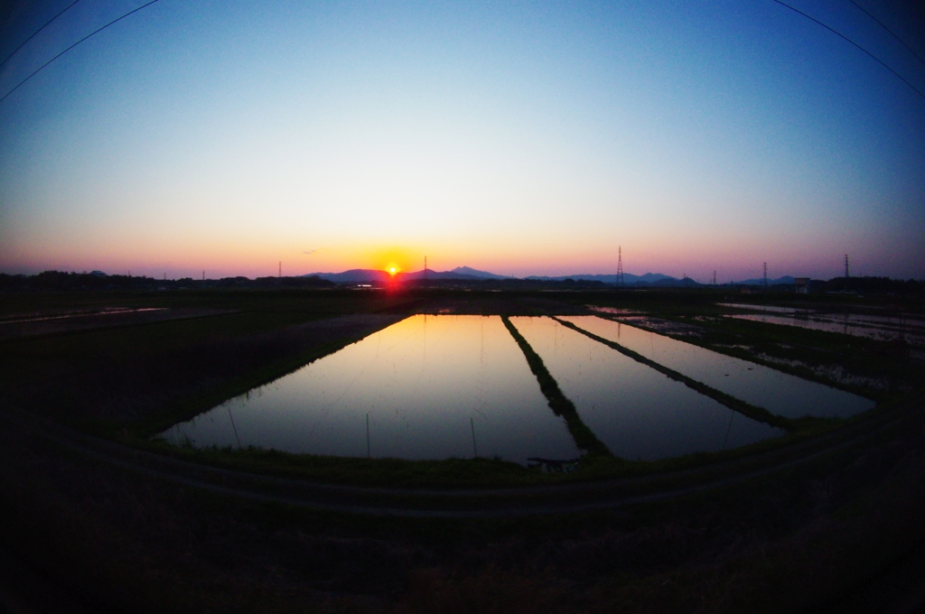 夕暮れ田んぼ