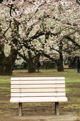 公園のベンチ