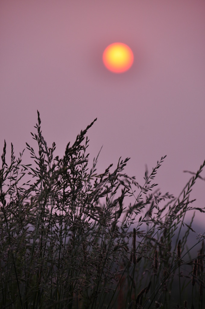 おぼろげな太陽