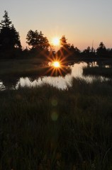 二つの太陽