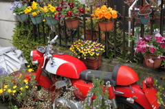 古いバイクと花