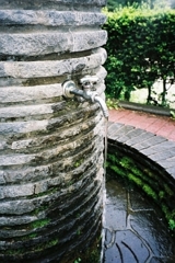 Drinking Fountain