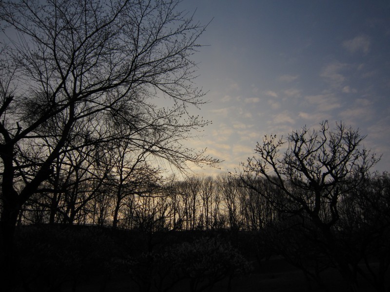 夕暮れ