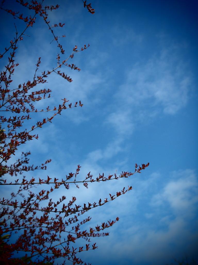 午後は青空