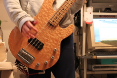 bassisit