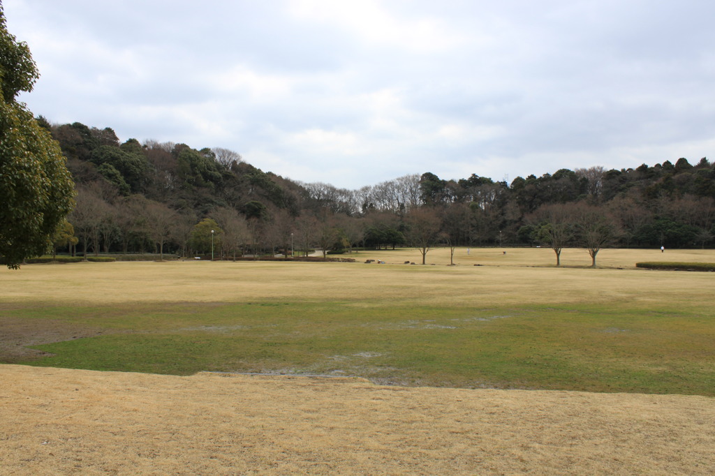 近所の公園
