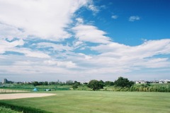 夏の多摩川河川敷