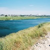 夏の多摩川-1