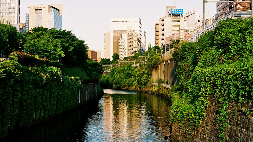 夕焼けの水道橋