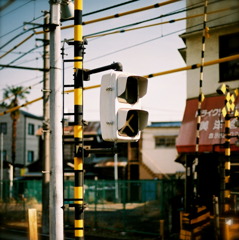 都電のある風景