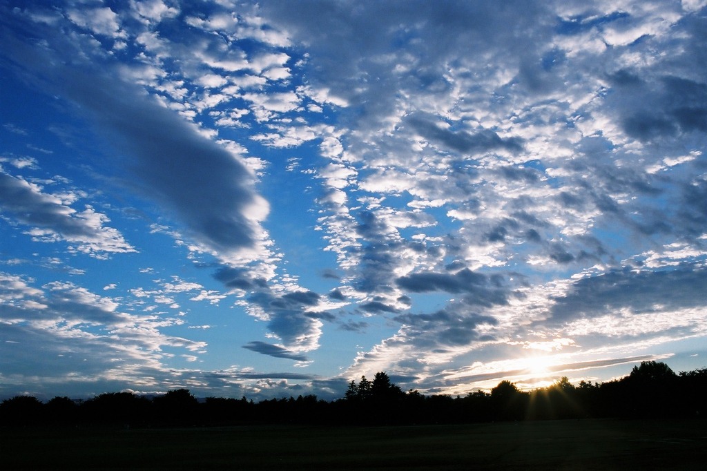 秋雲