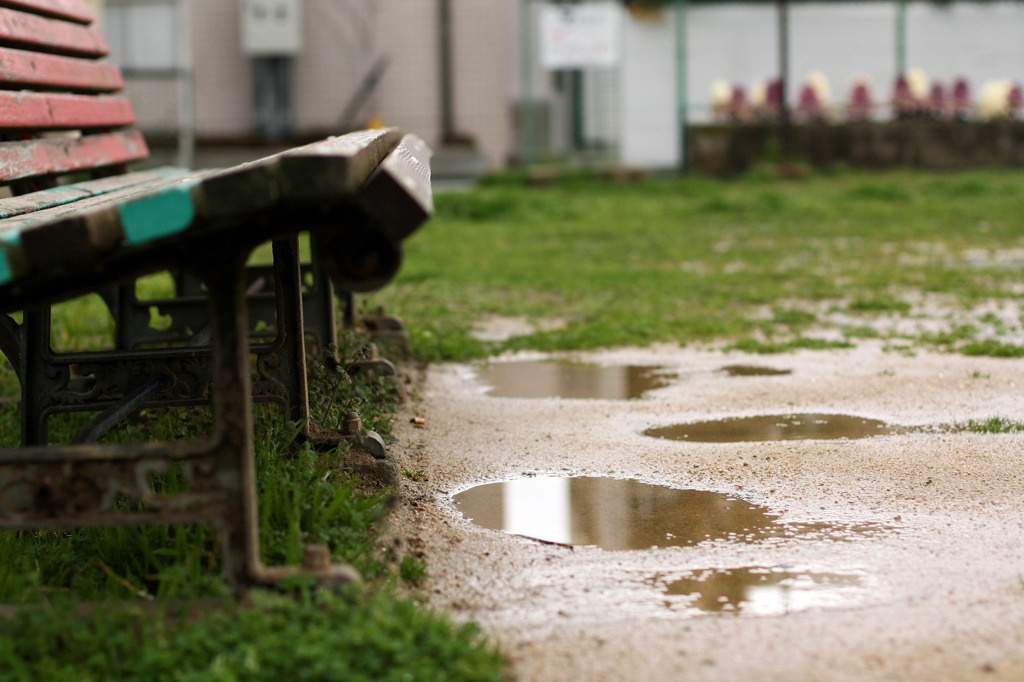 雨上がりの公園