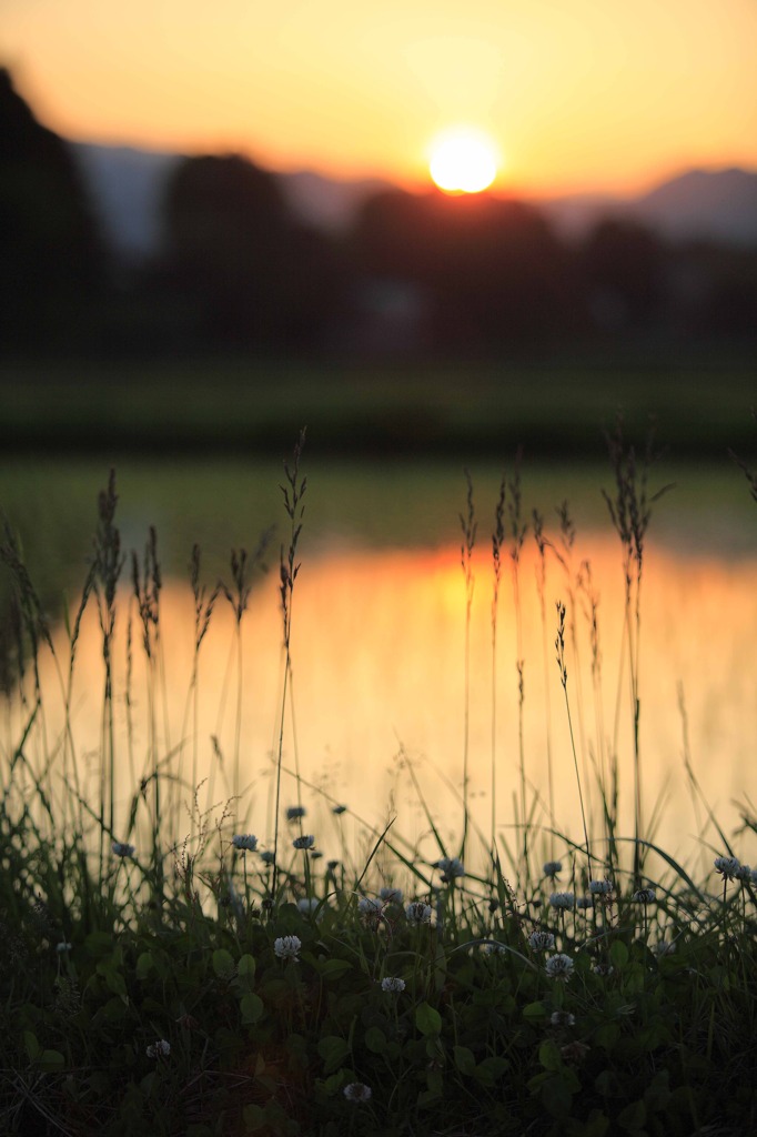 a rural landscape