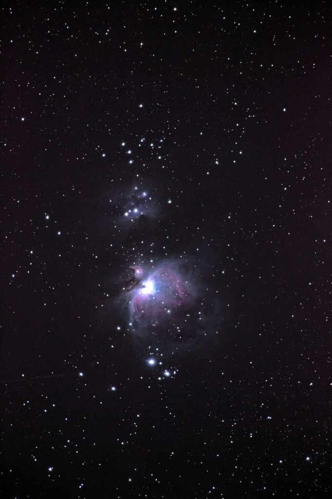 Orion Nebula