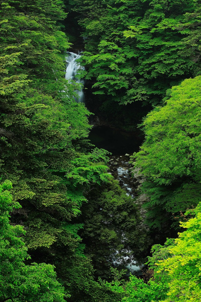 Deep green