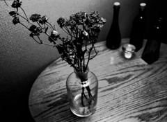 In the room -Flower 2-