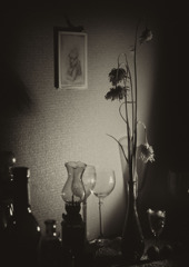 In the room -Flower-