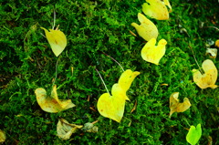 CSC_2416