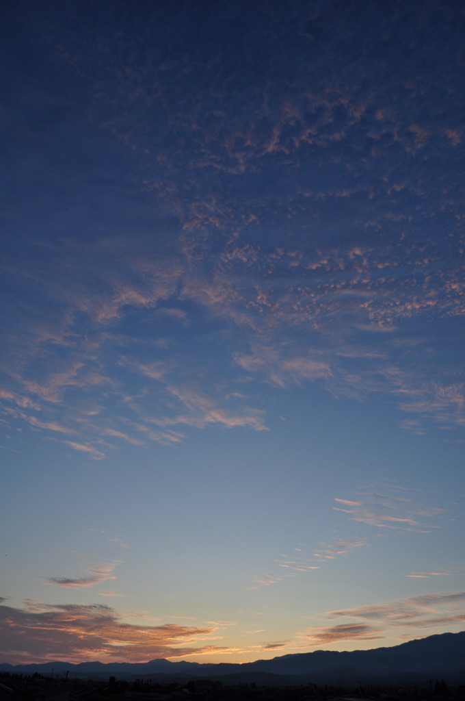 DSC_1148