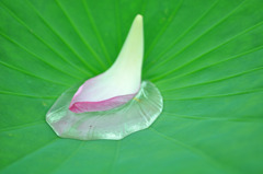 画像 333