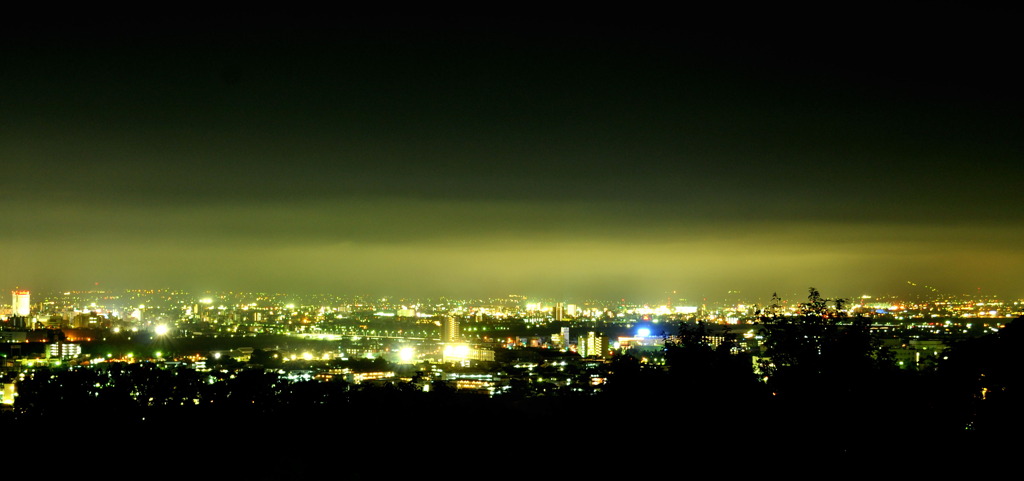 呉羽山夜景