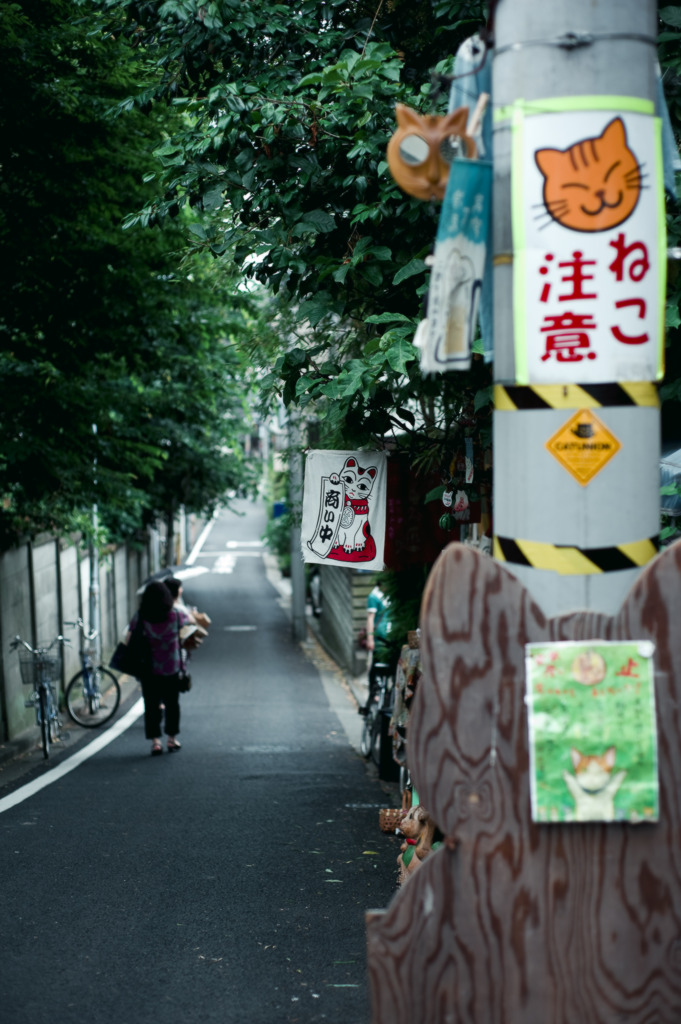_TW30754
