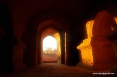 _IGP9262