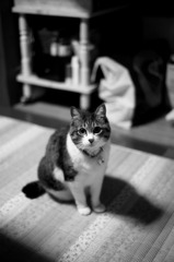 _TW30415_b
