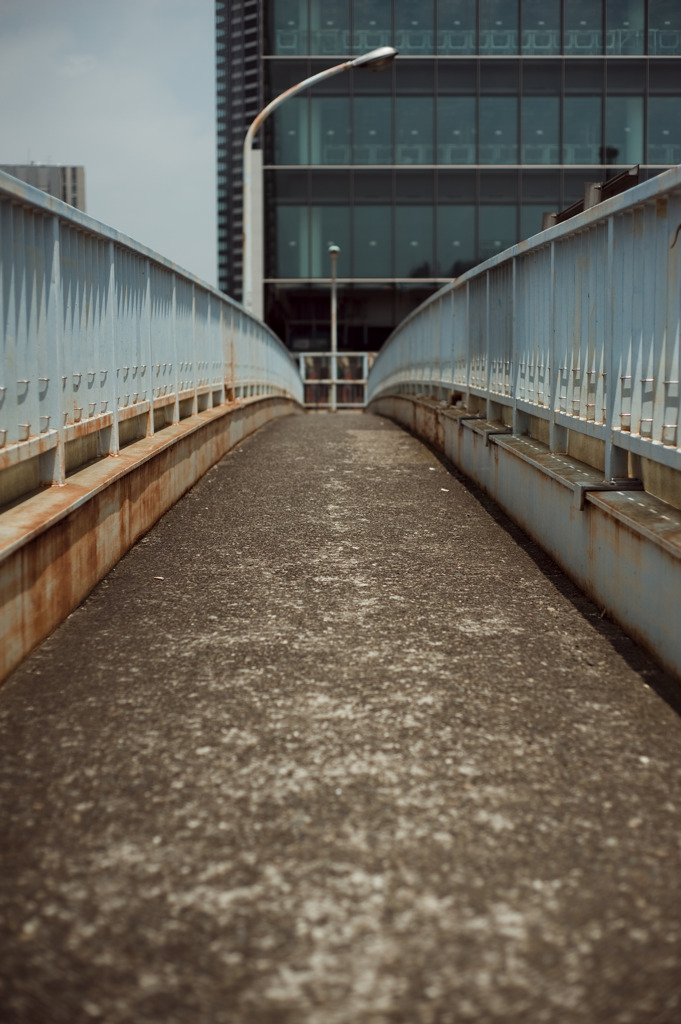 _TW31556