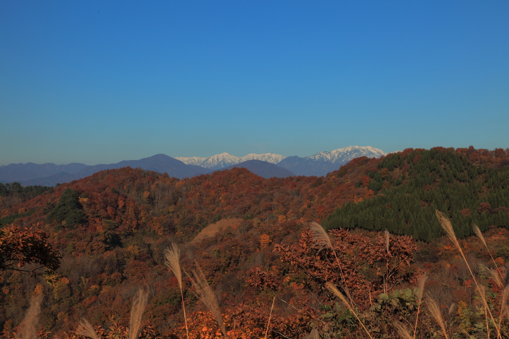 photo867986