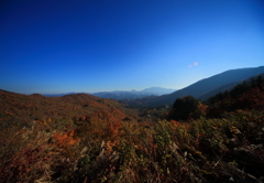 photo867957