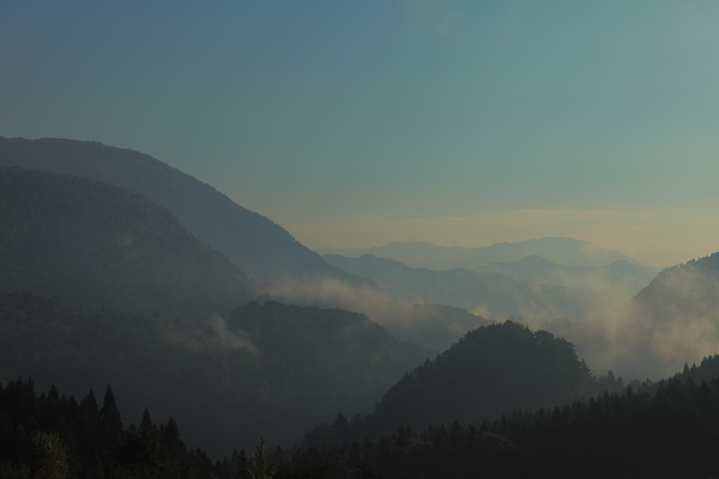 photo867187