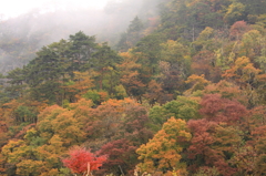 photo867202