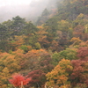 photo867202