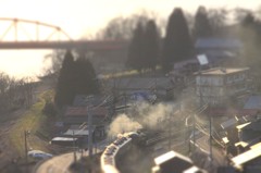 エスエル
