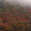 photo867201