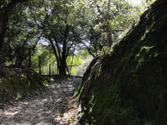 廣田神社