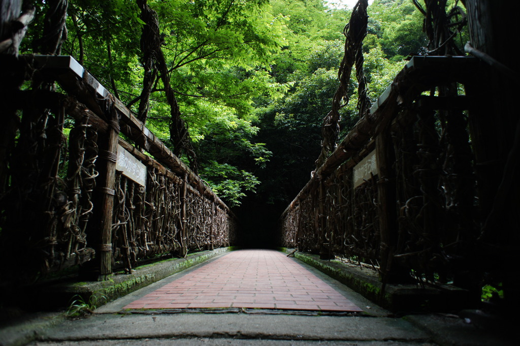 猿のかづら橋