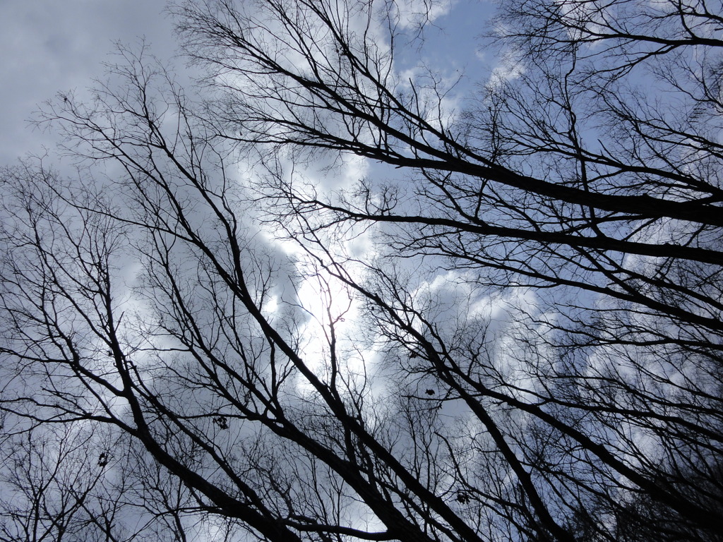 冬空