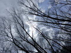 冬空