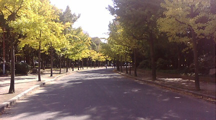 公園の、