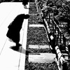 感謝の心、一本の筋