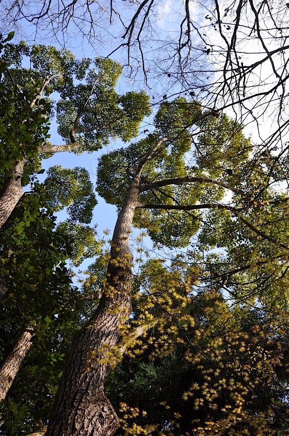 空の境界線