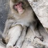 グラビア