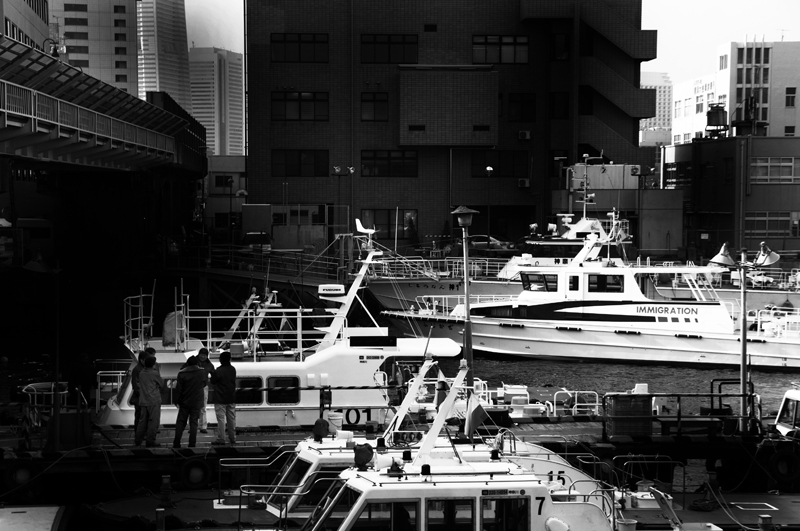 snap0219_010
