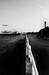 snap0219_006