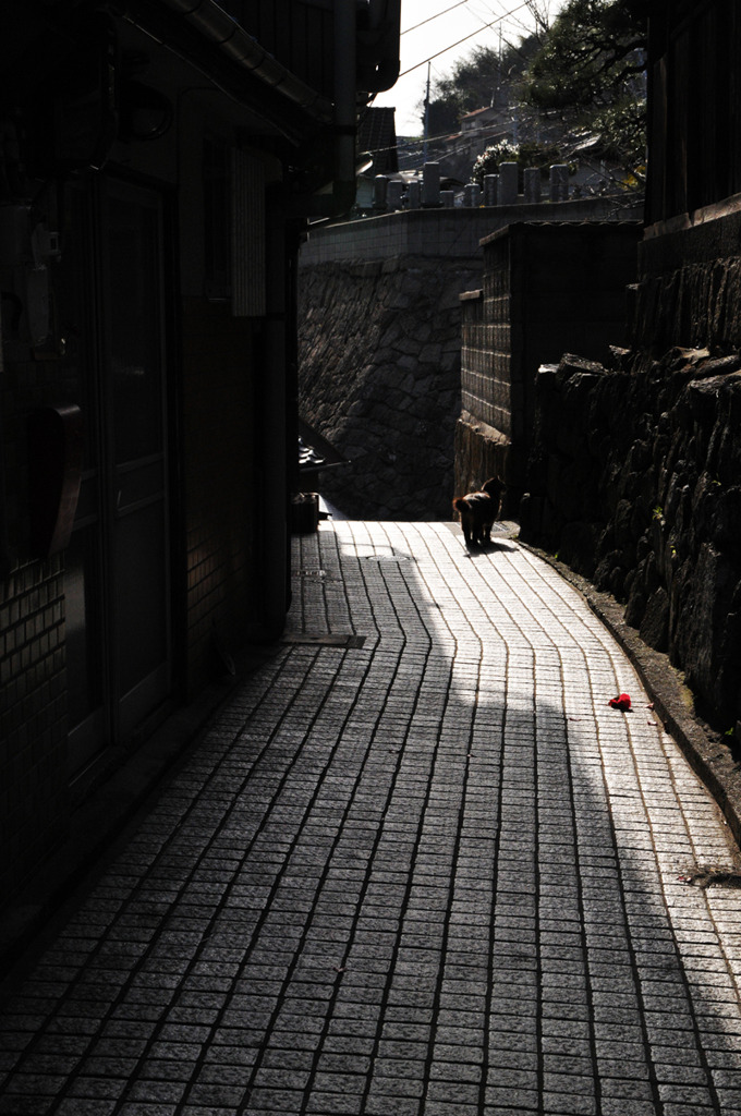 snap0317_013