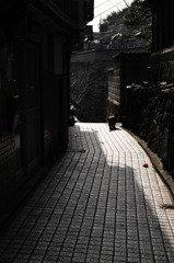 snap0317_013